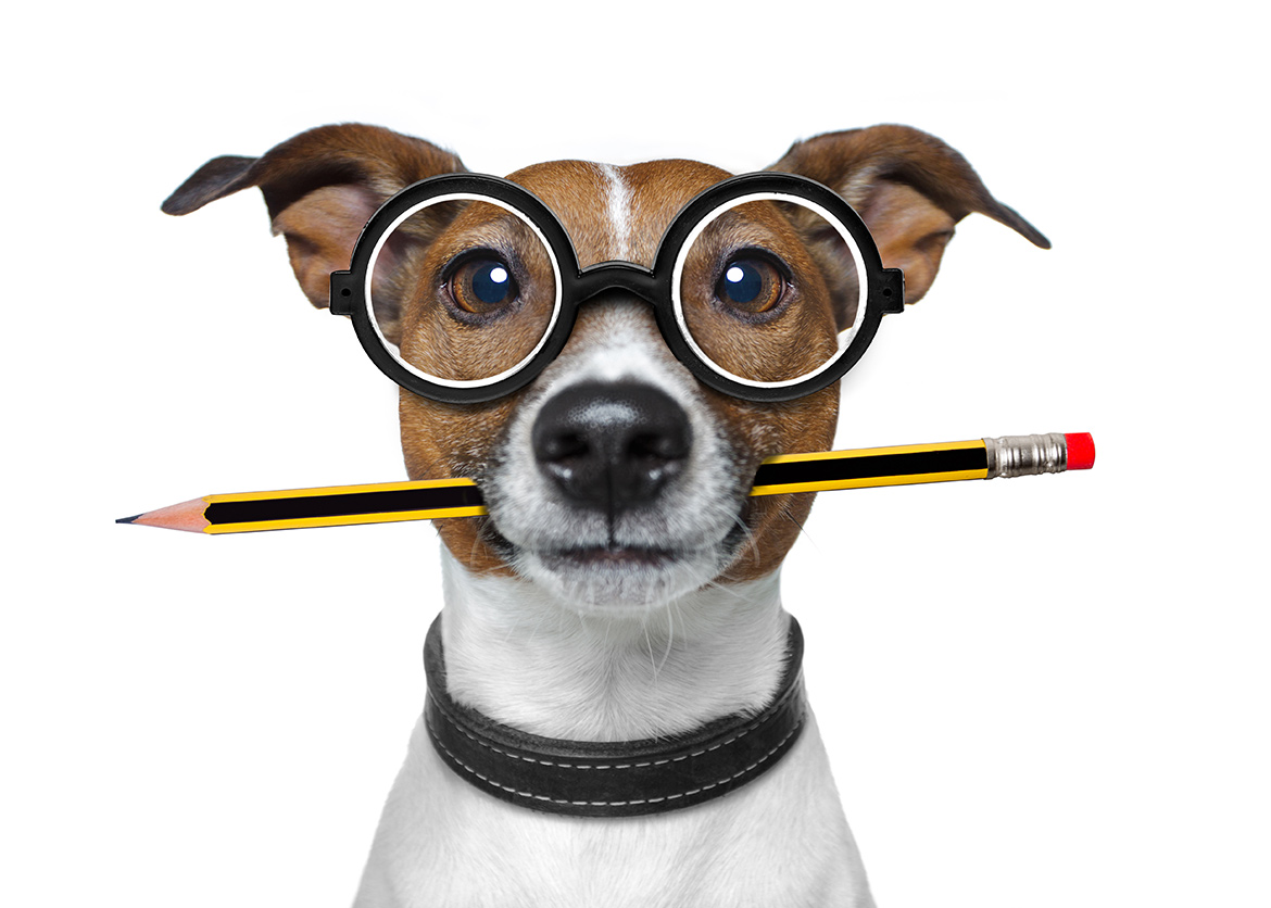 Diabetic Eye Disease Diabetic eye disease
